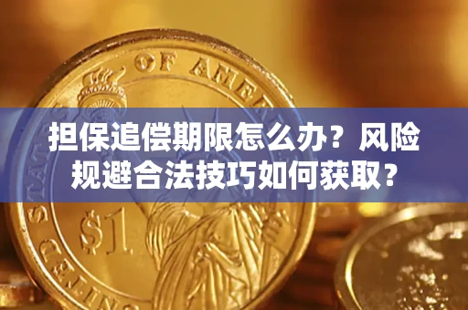 武汉担保追偿期限怎么办？风险规避合法技巧如何获取？